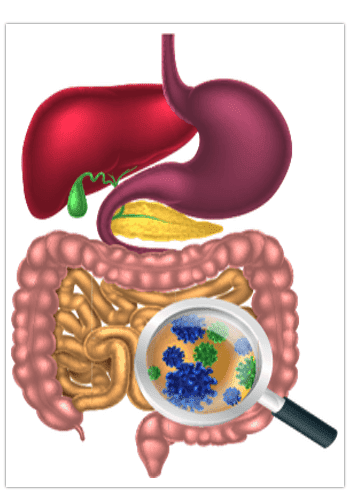 fat burning food recipes