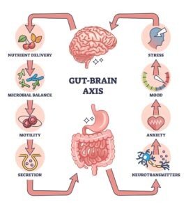 skin-gut connection