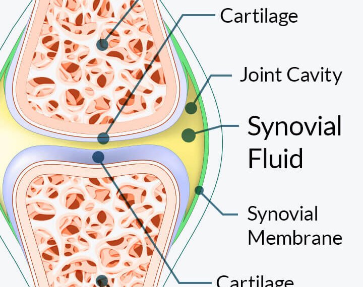 JointCare Plus: An Integrative Scientific Framework&hellip;