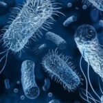 Ikaria Juice: Advanced Nutraceutical Intervention for Optimizing Cardiometabolic Health