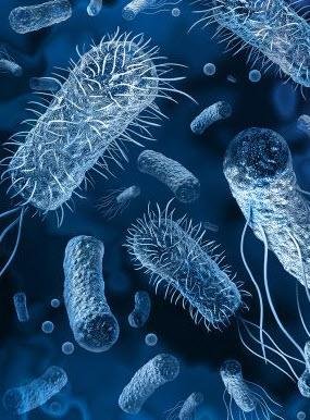 Ikaria Juice: Advanced Nutraceutical Intervention for&hellip;