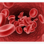 prostatic hyperplasia nutraceutical