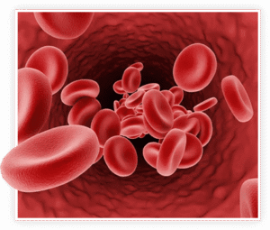 prostatic hyperplasia nutraceutical